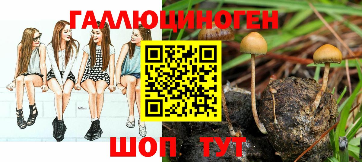 Кулебаки  как найти закладки  Вход с VPN  Галлюциногенные грибы GOLDEN TEACHER 